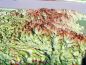 Preview: Raised Relief Map Provence-Alpes