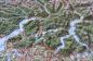 Preview: Raised relief map Alps 1:500.000