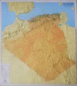 Raised relief map Algeria