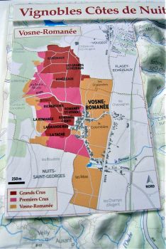 Raised relief map Vignobles de Bourgogne