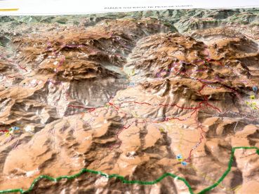 3D Raised Relief Map Picos National Park